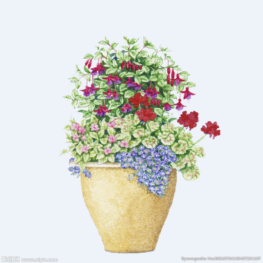 png格式植物花卉手绘素材