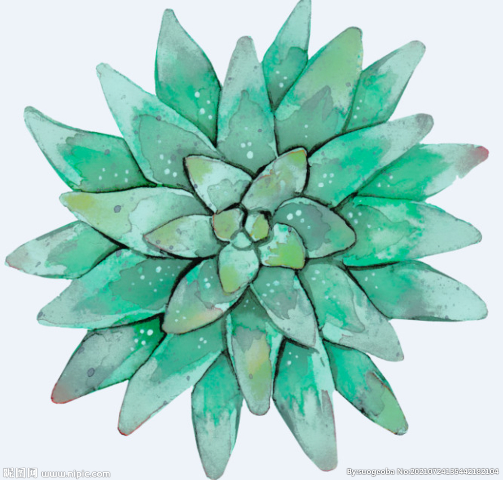 png格式植物花卉手绘素材