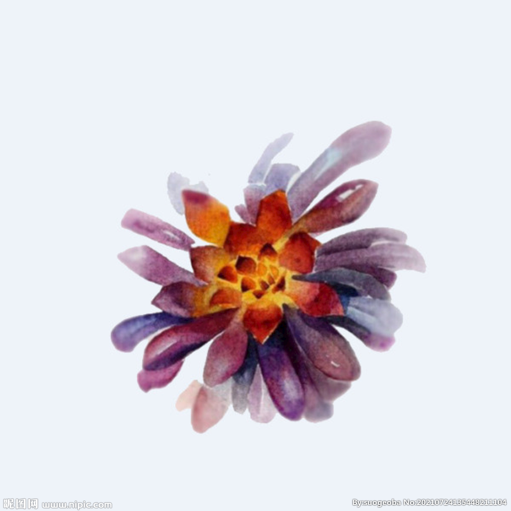 png格式植物花卉手绘素材