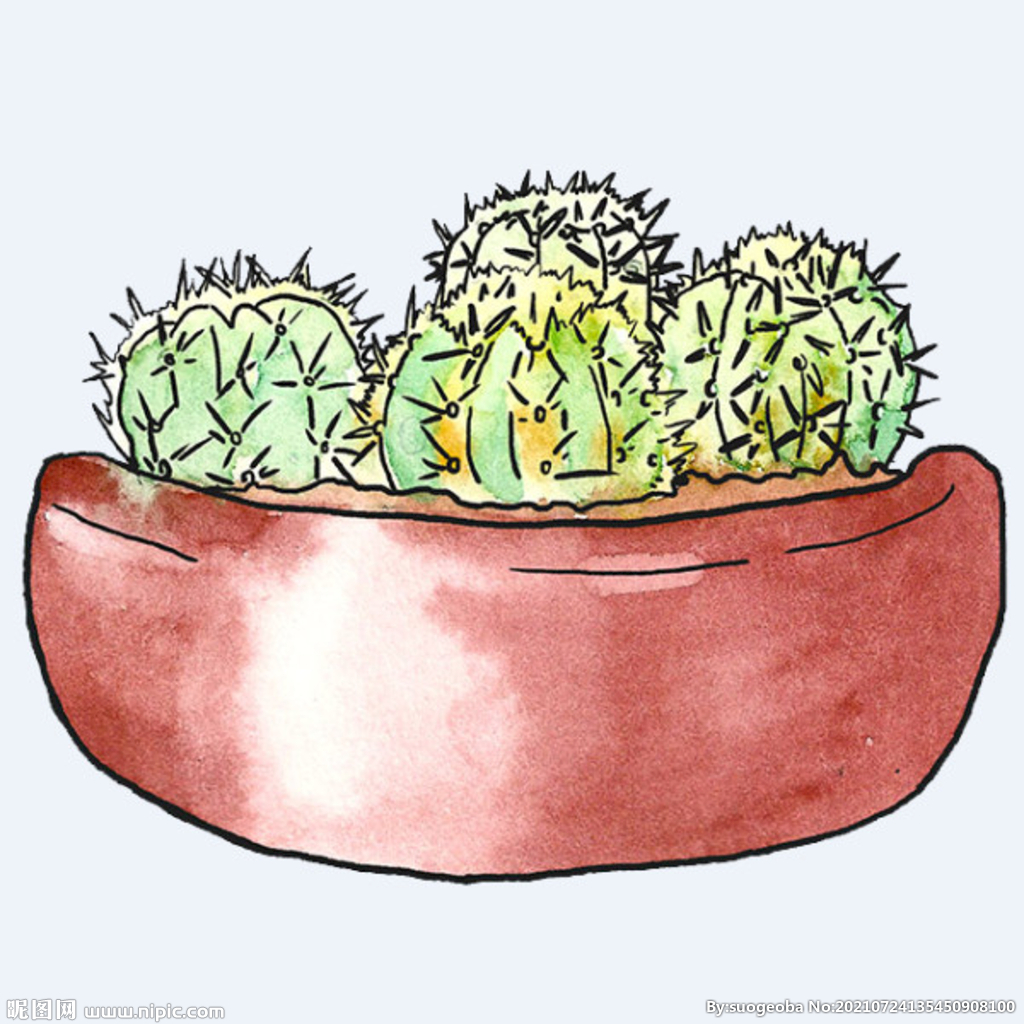 png格式植物花卉手绘素材