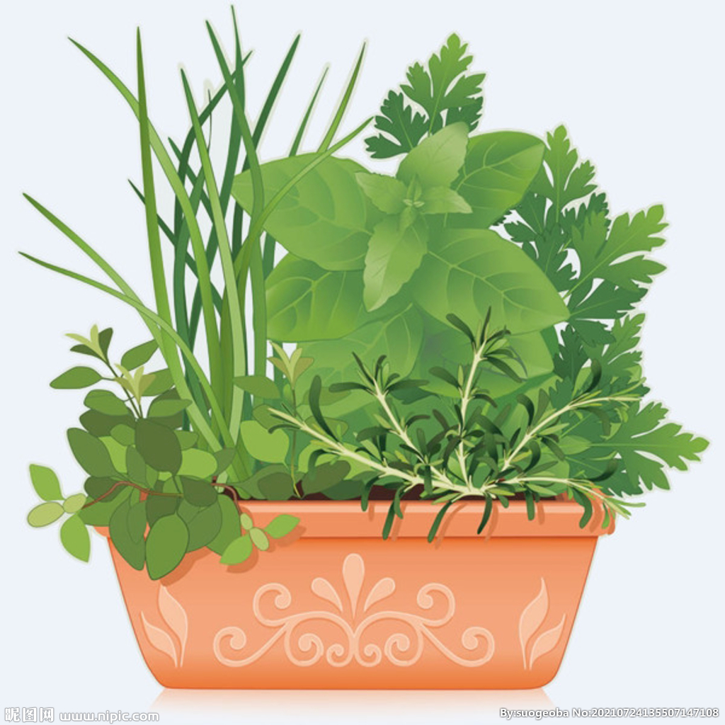 png格式植物花卉手绘素材