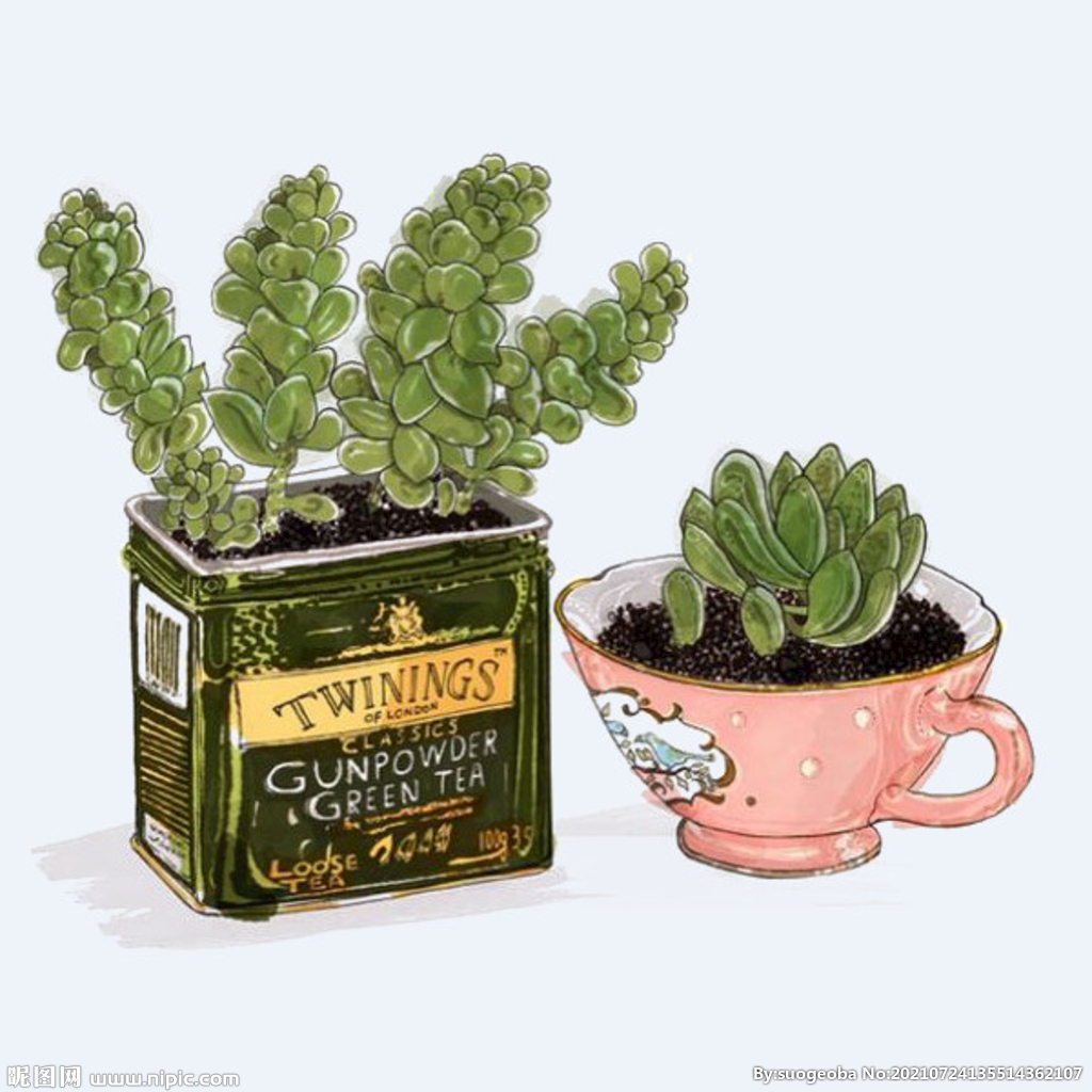 png格式植物花卉手绘素材