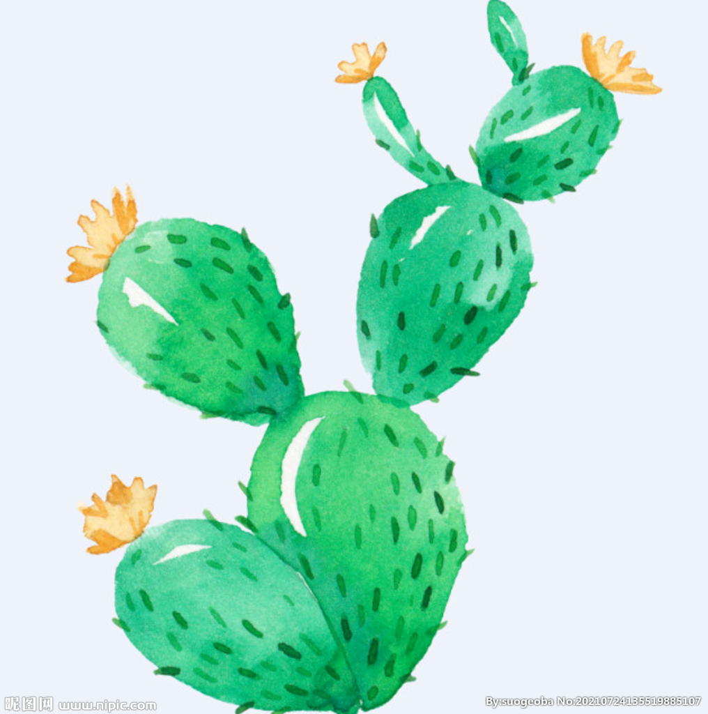 png格式植物花卉手绘素材