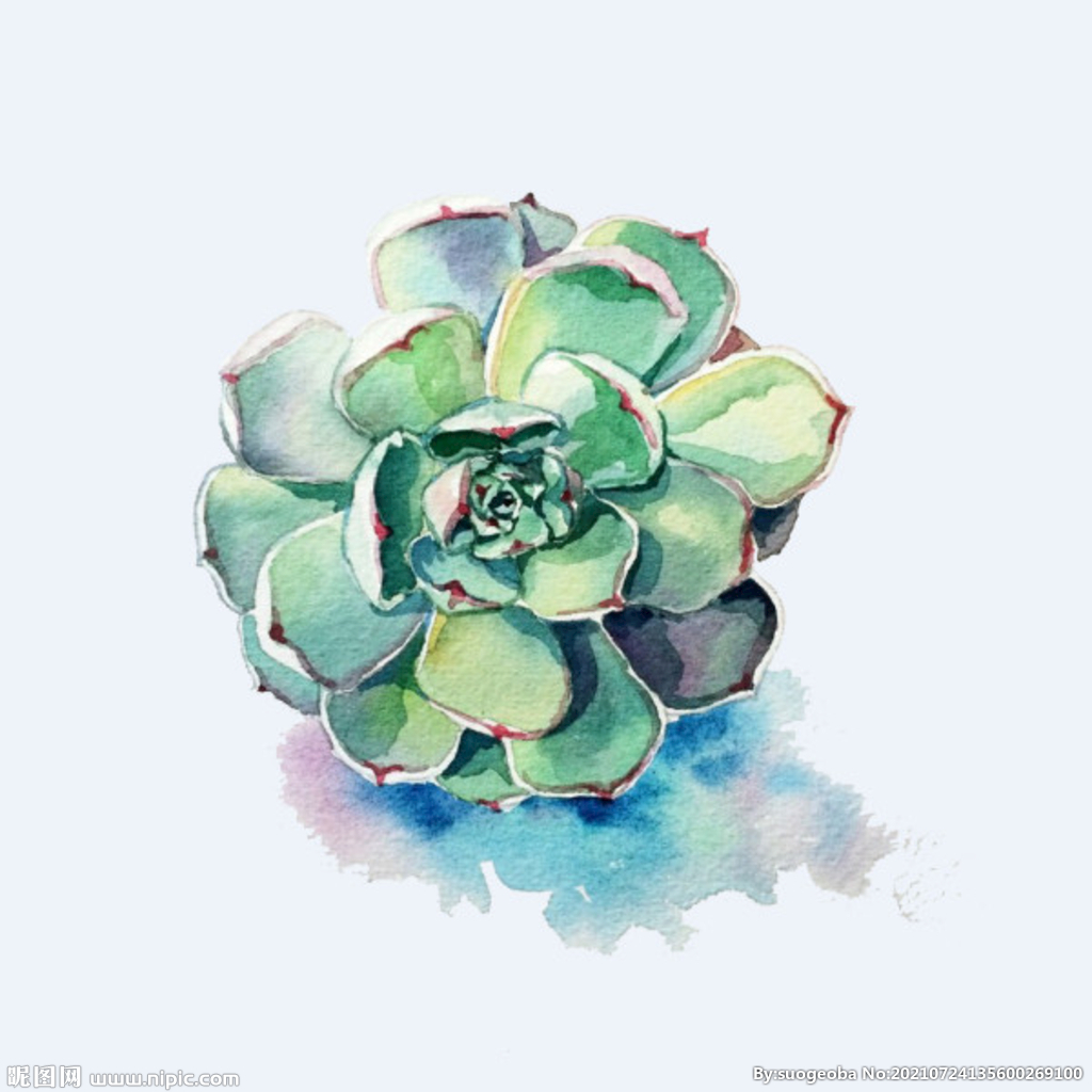 png格式植物花卉手绘素材