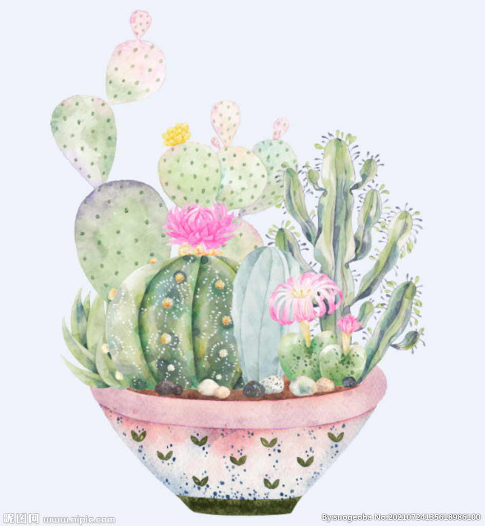 png格式植物花卉手绘素材