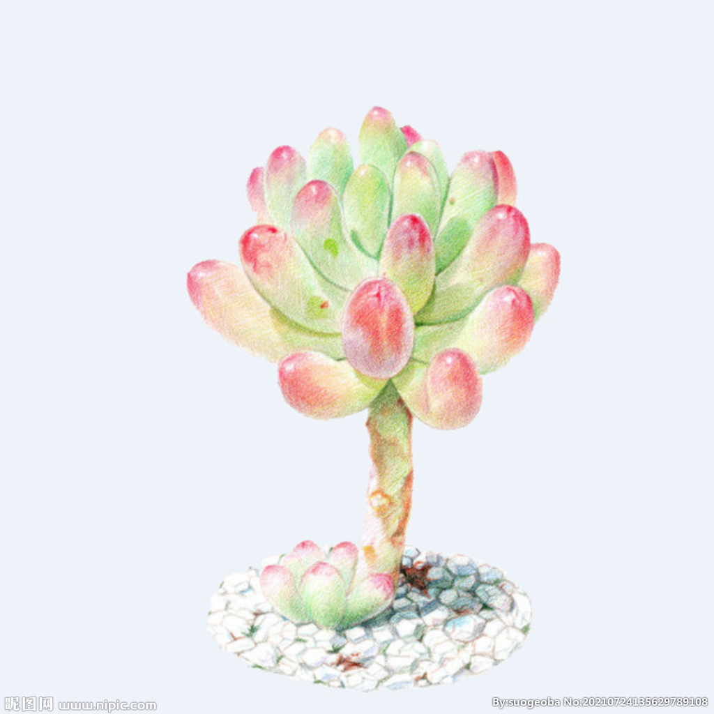 png格式植物花卉手绘素材