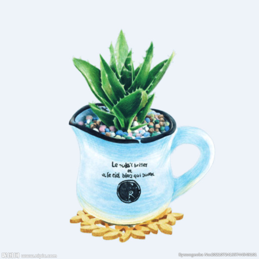 png格式植物花卉手绘素材