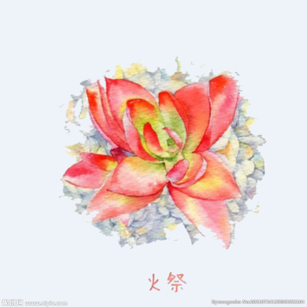 png格式植物花卉手绘素材