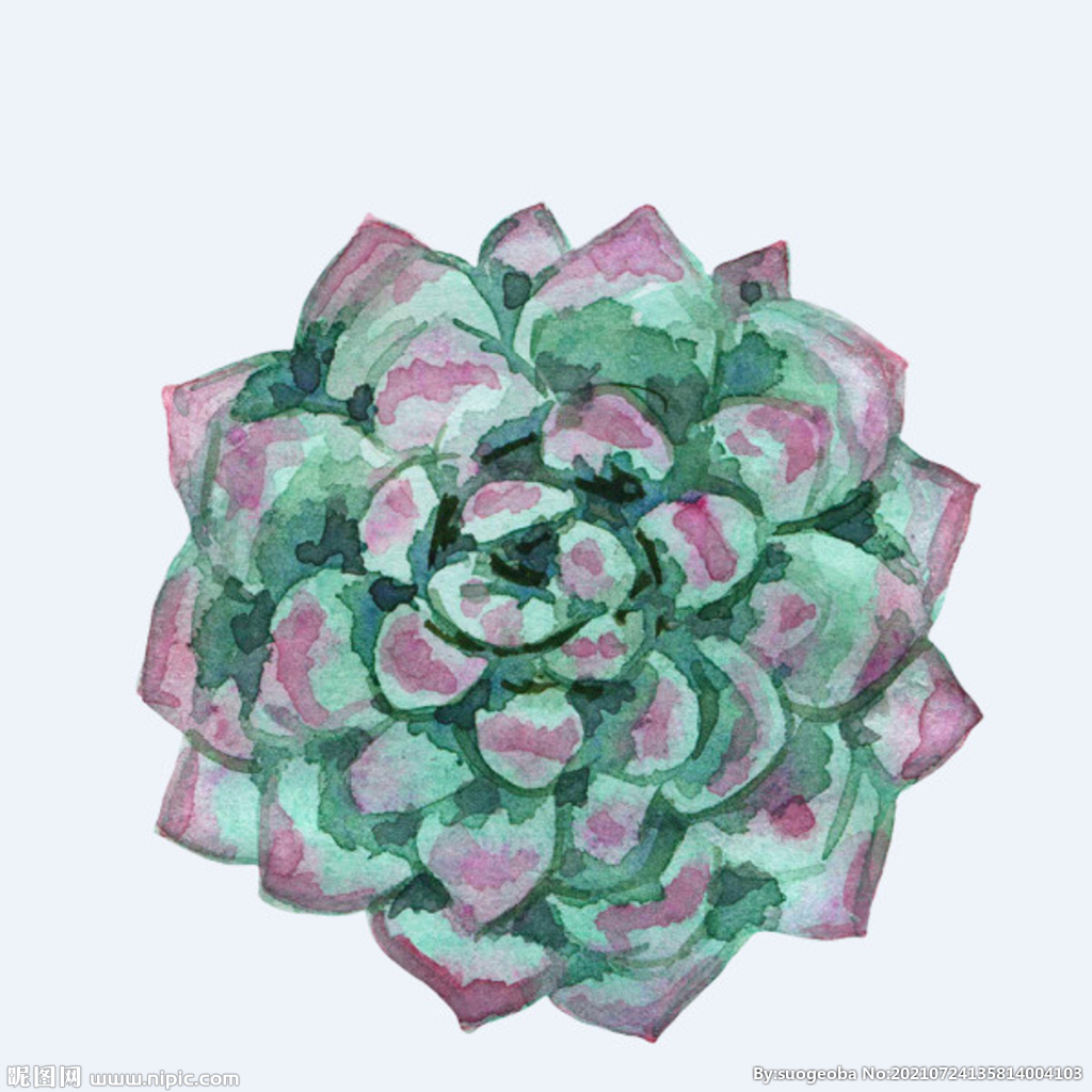 png格式植物花卉手绘素材