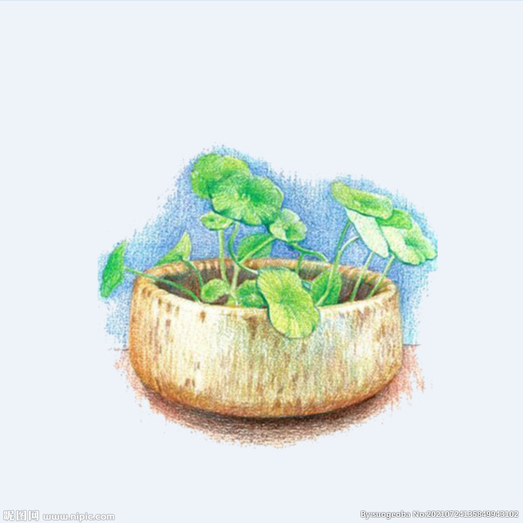 png格式植物花卉手绘素材