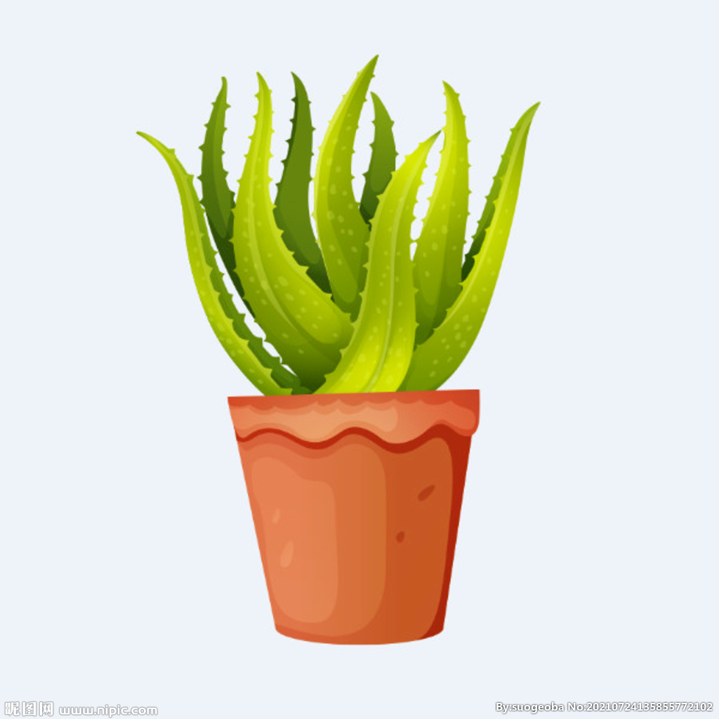 png格式植物花卉手绘素材