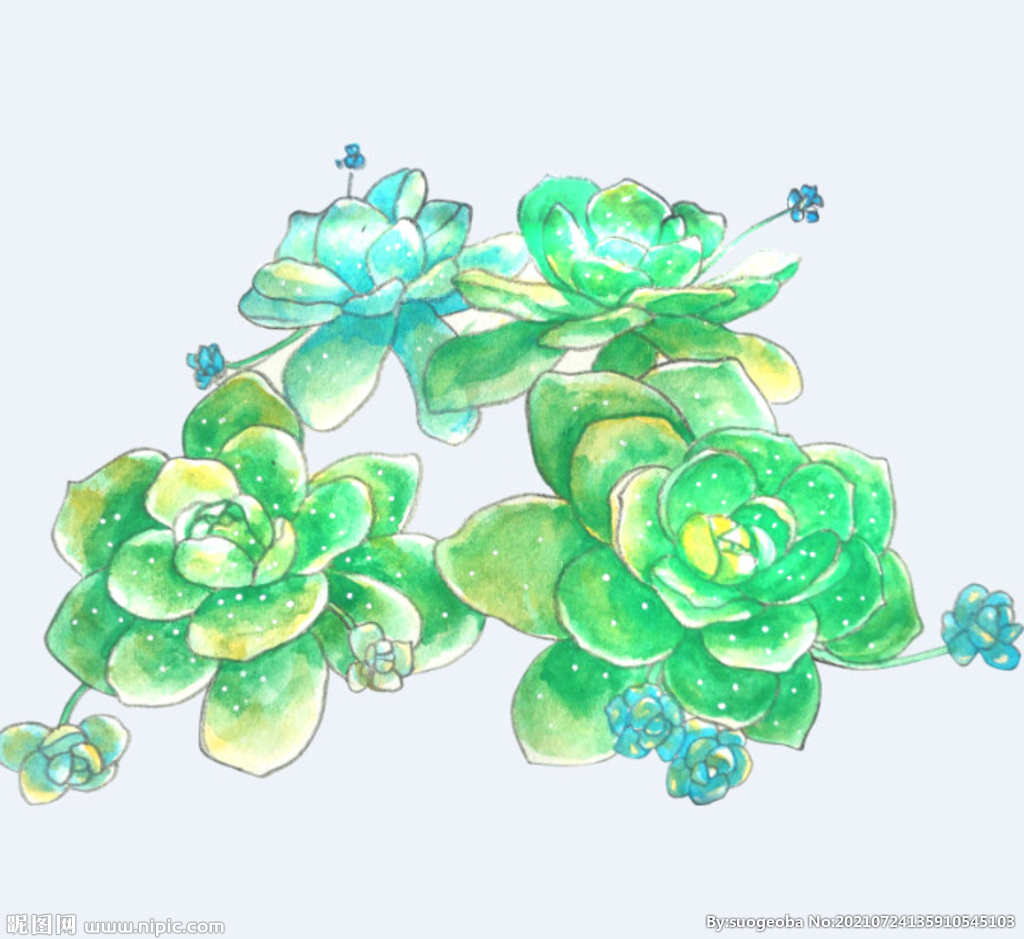 png格式植物花卉手绘素材