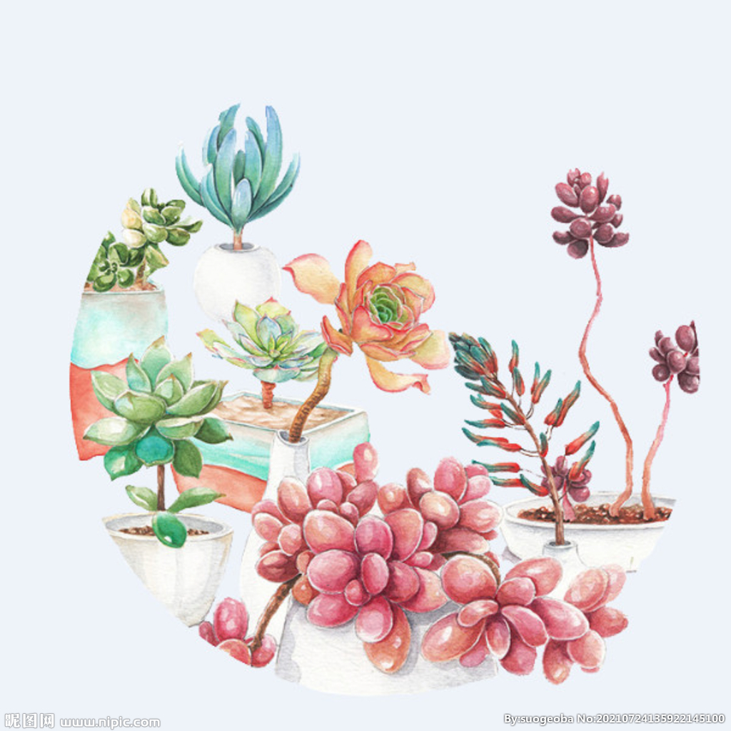 png格式植物花卉手绘素材