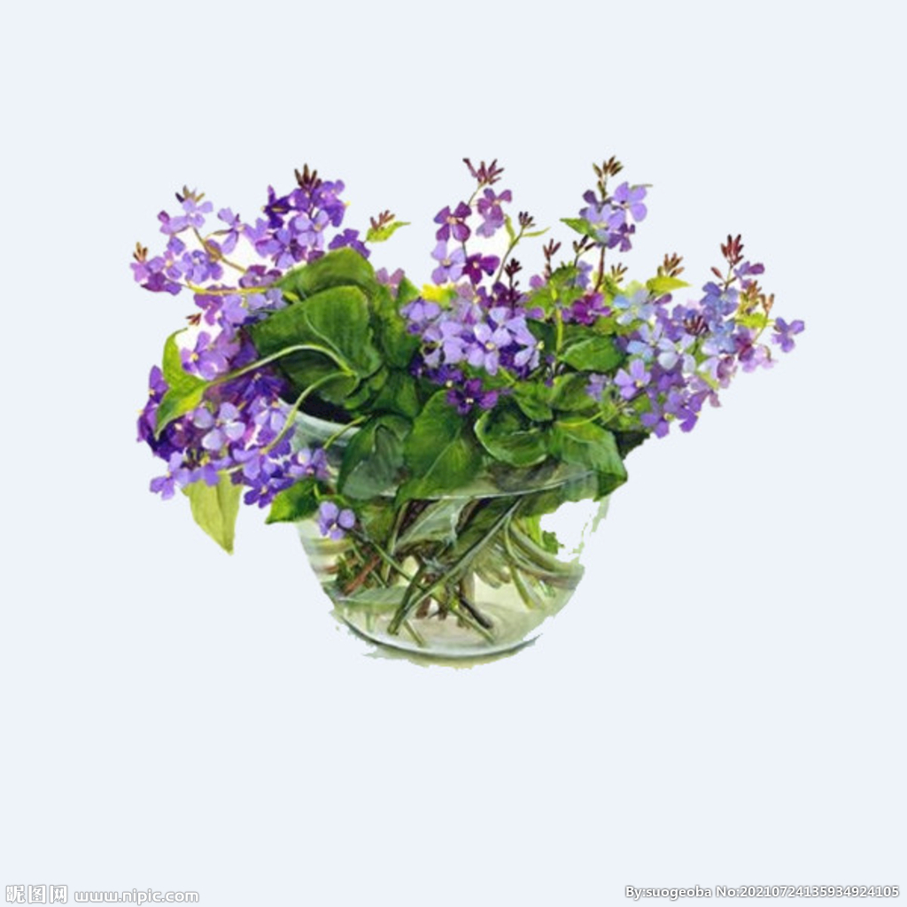 png格式植物花卉手绘素材