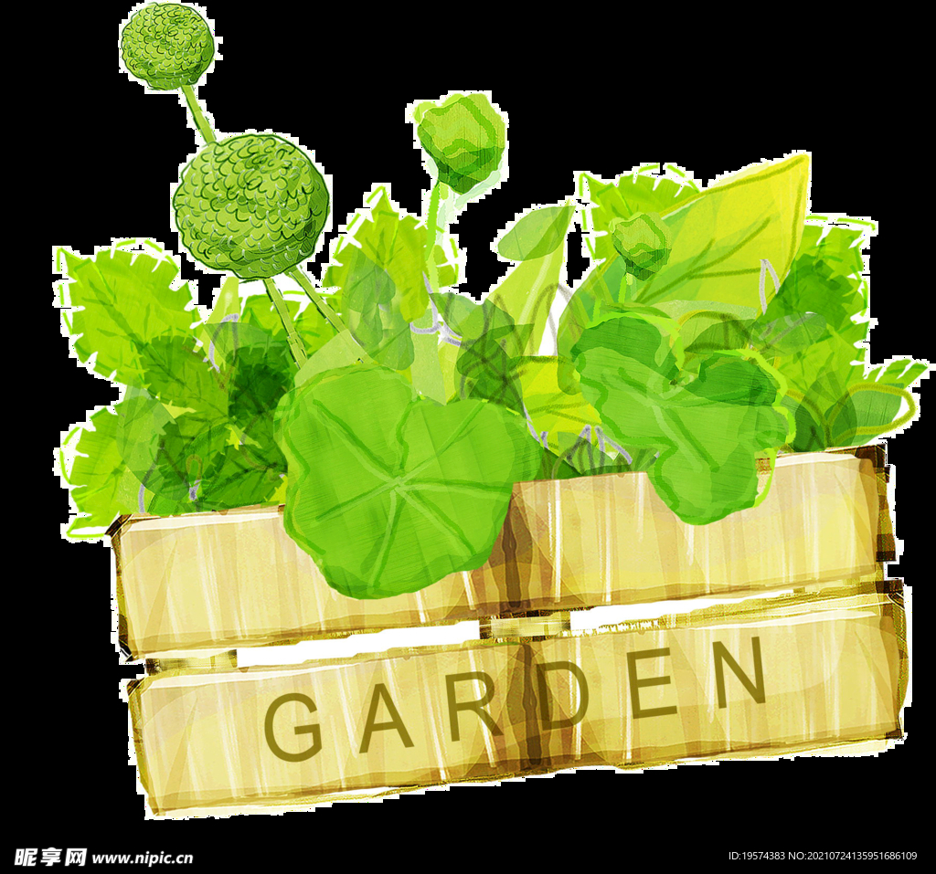 png格式植物花卉手绘素材