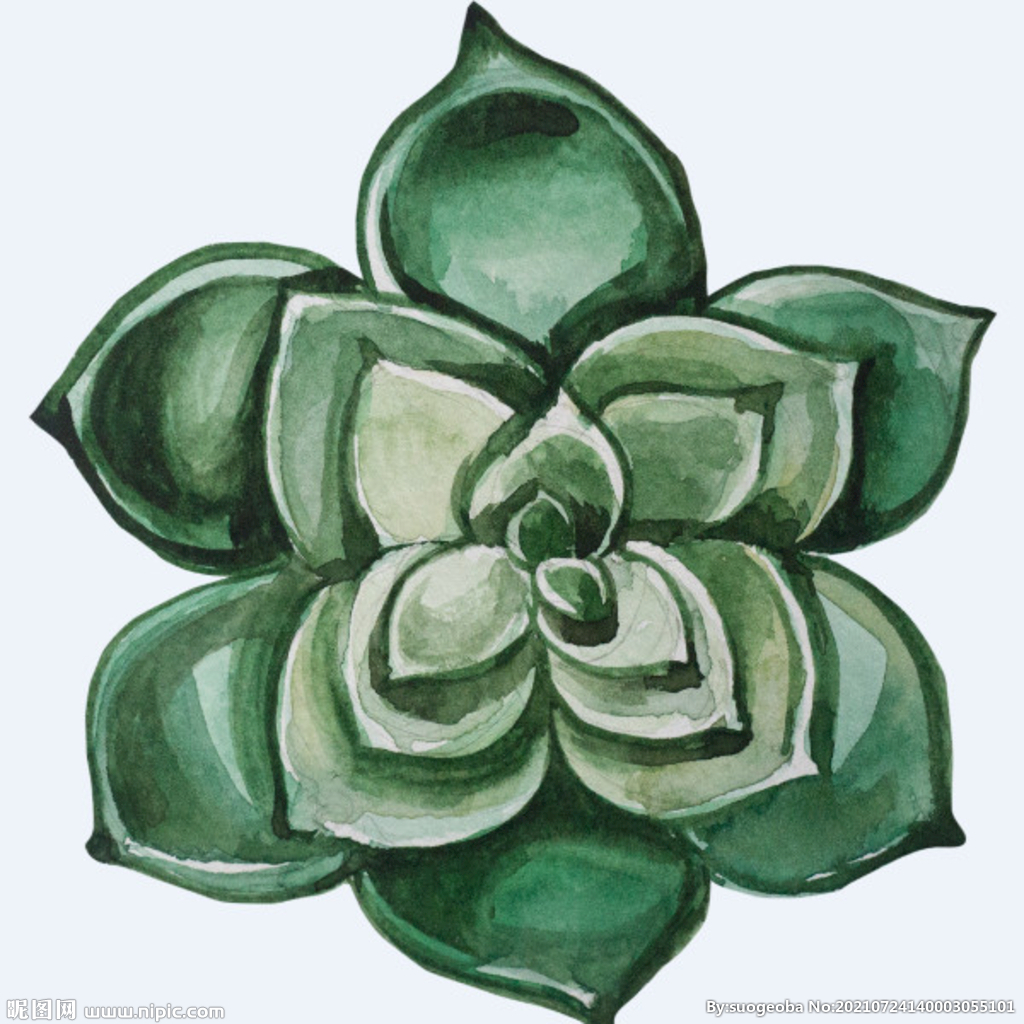 png格式植物花卉手绘素材