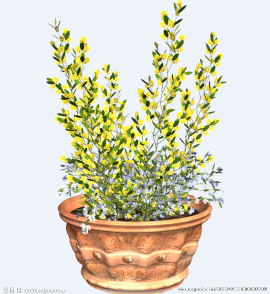 png格式植物花卉手绘素材