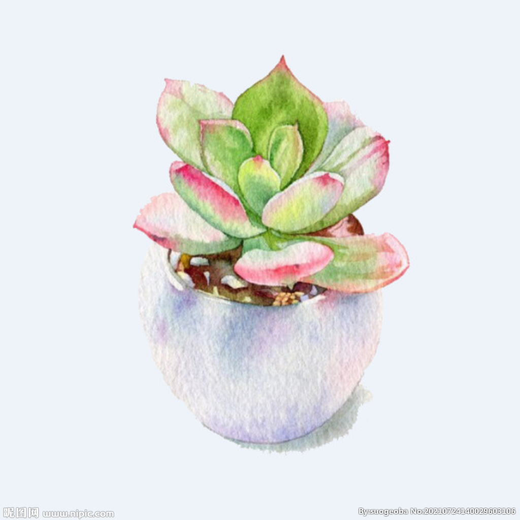 png格式植物花卉手绘素材