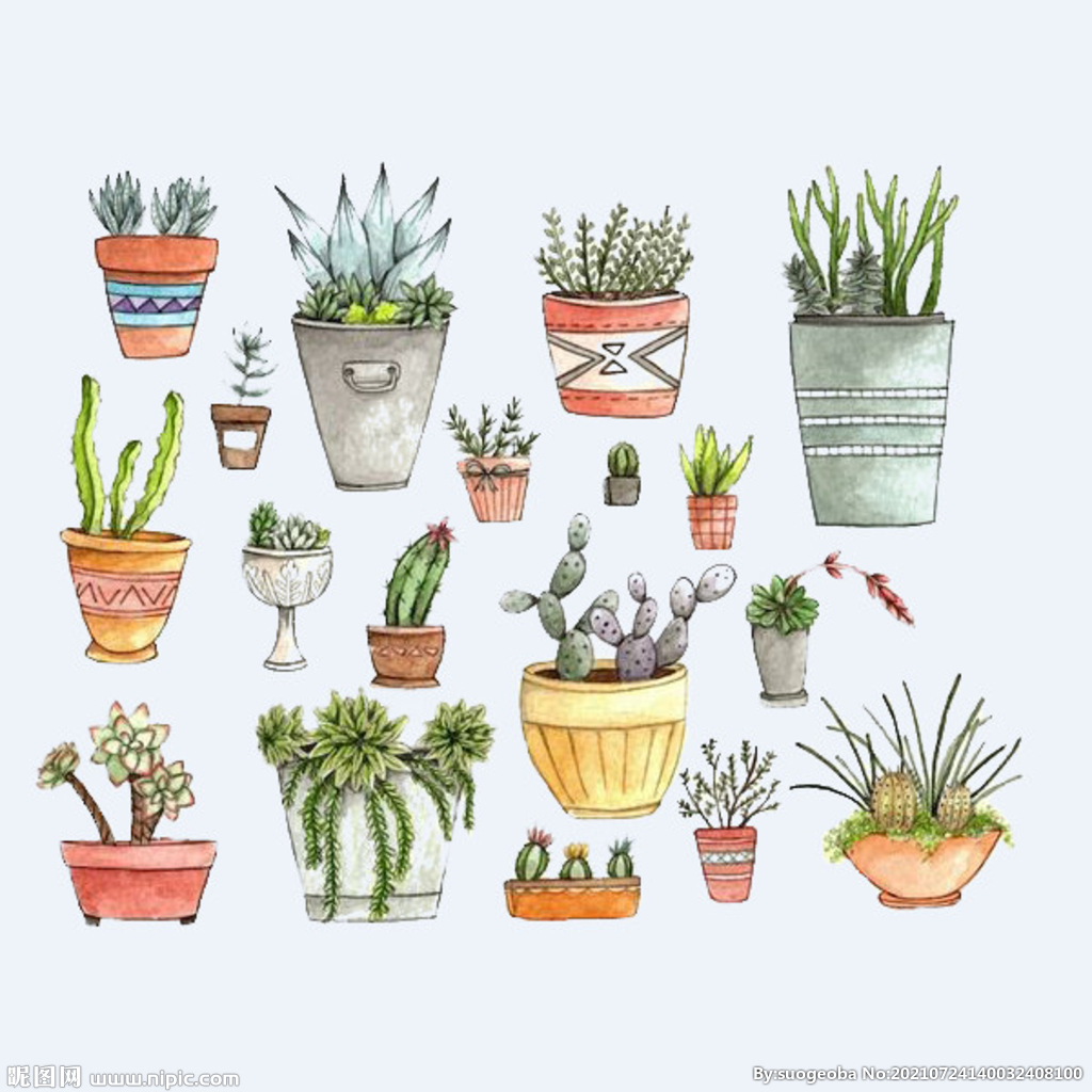 png格式植物花卉手绘素材