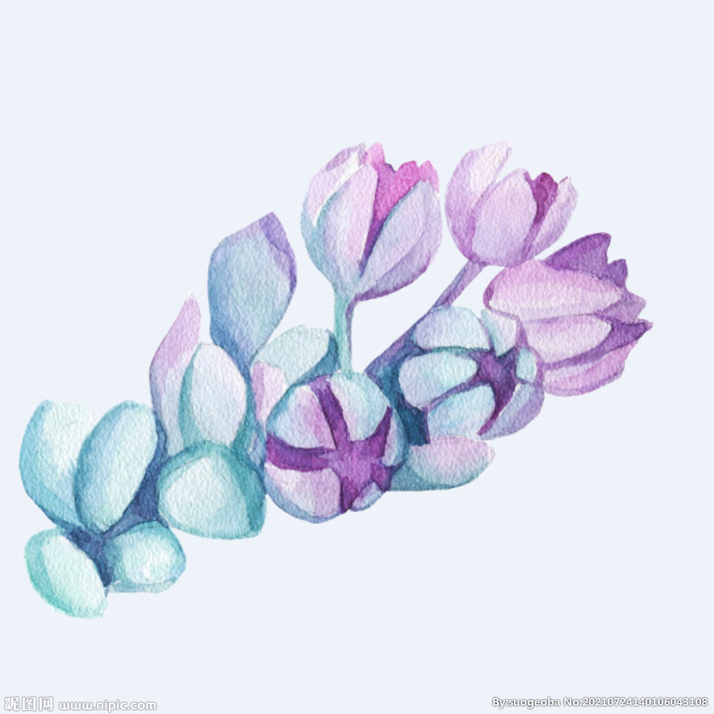 png格式植物花卉手绘素材