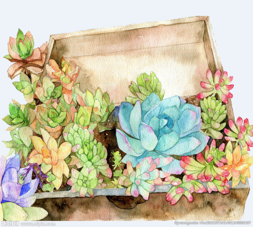 png格式植物花卉手绘素材