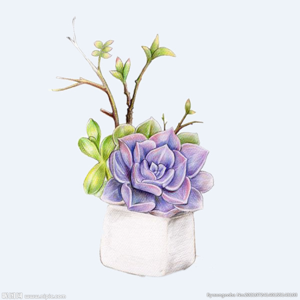 png格式植物花卉手绘素材