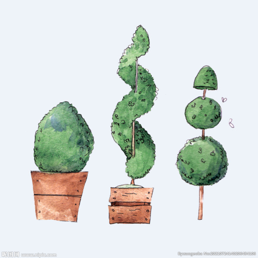 png格式植物花卉手绘素材