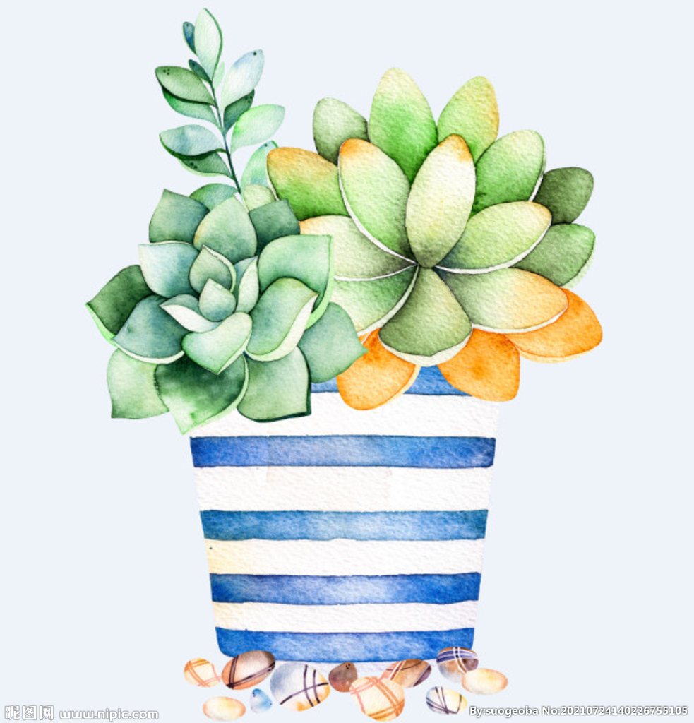 png格式植物花卉手绘素材