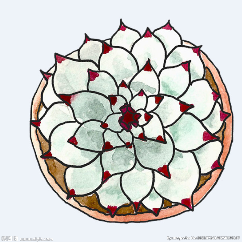 png格式植物花卉手绘素材