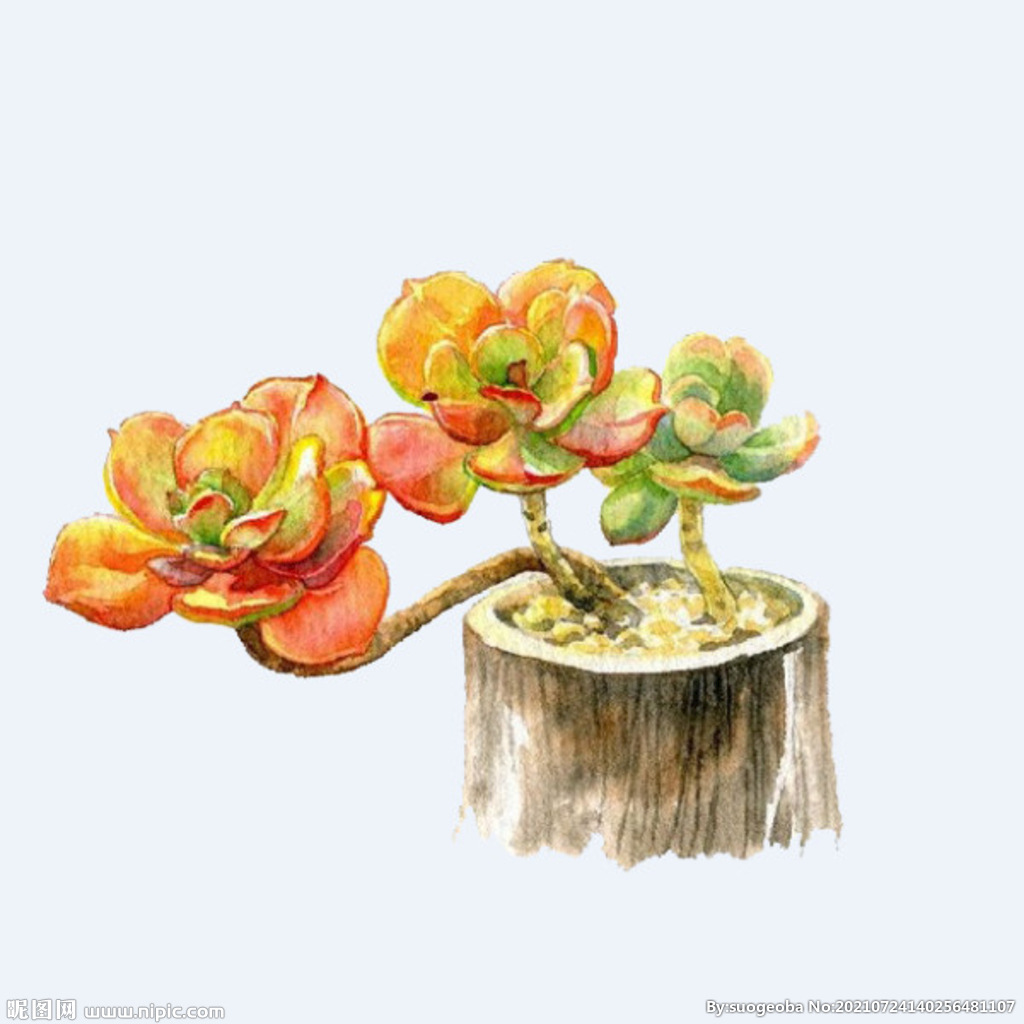 png格式植物花卉手绘素材