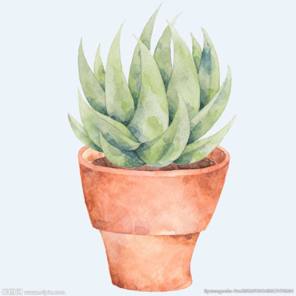 png格式植物花卉手绘素材