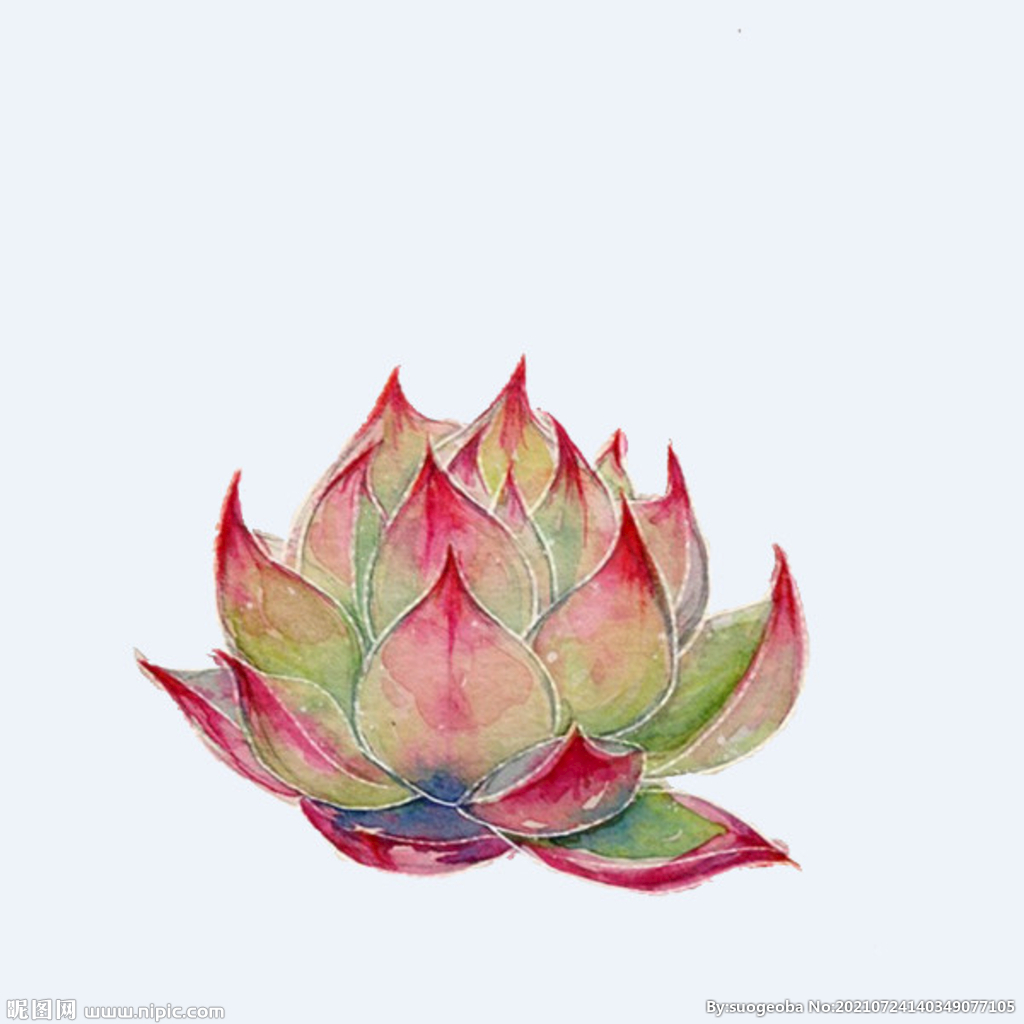 png格式植物花卉手绘素材