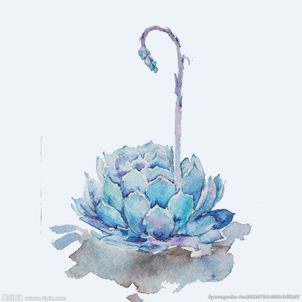 png格式植物花卉手绘素材