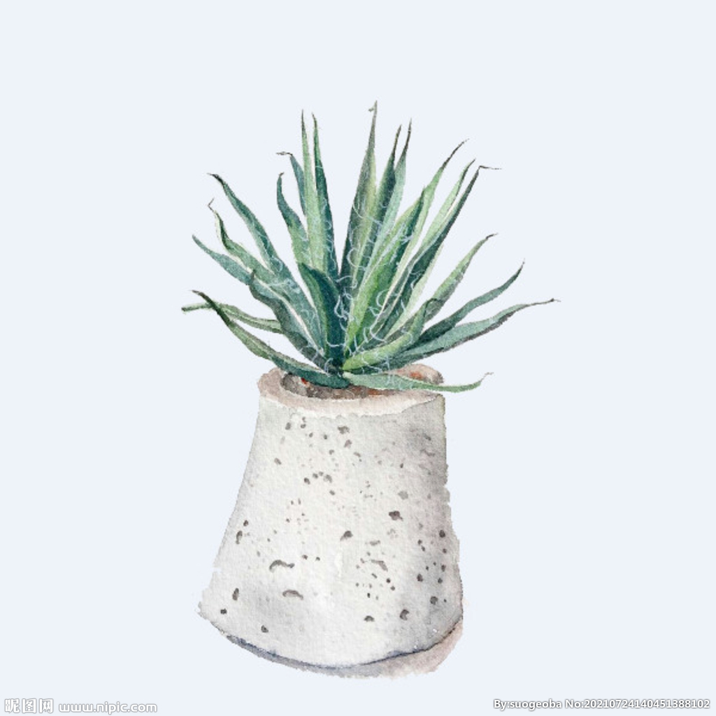 png格式植物花卉手绘素材