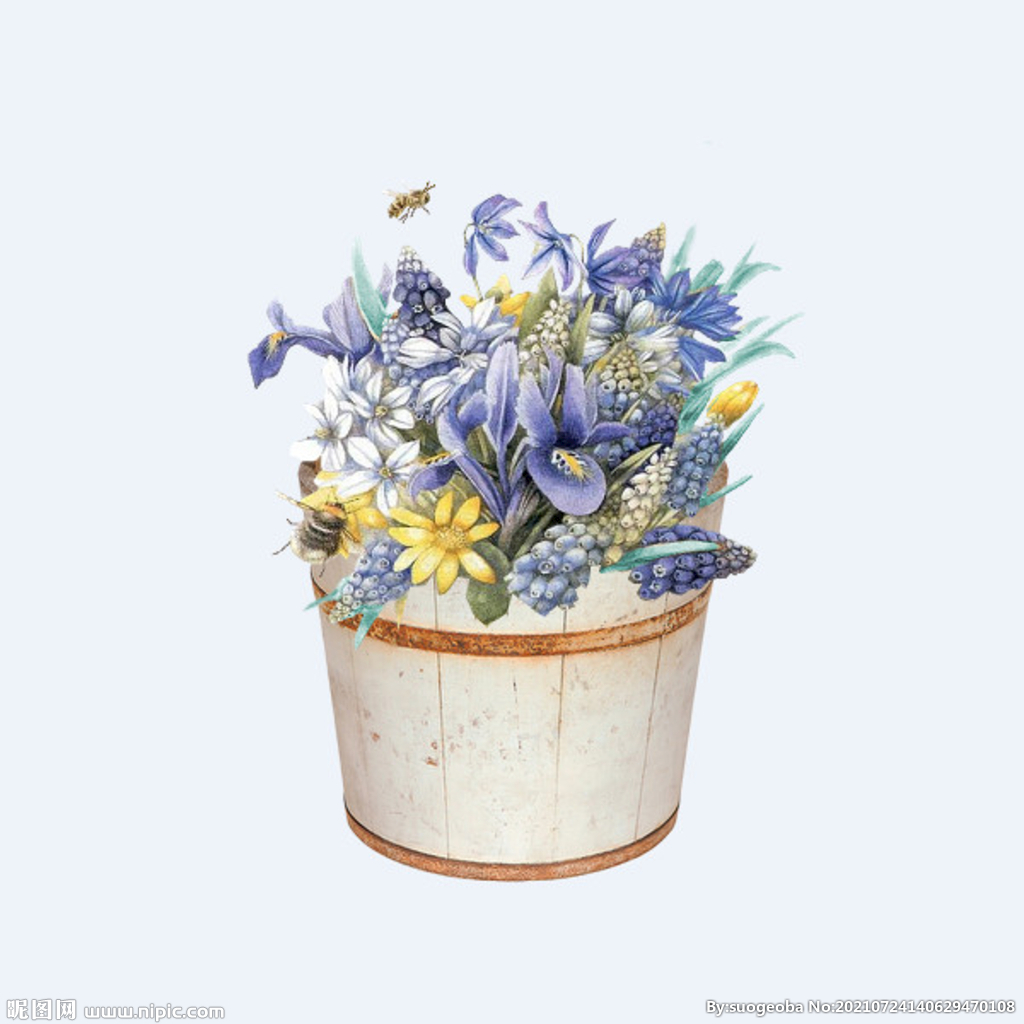 png格式植物花卉手绘素材