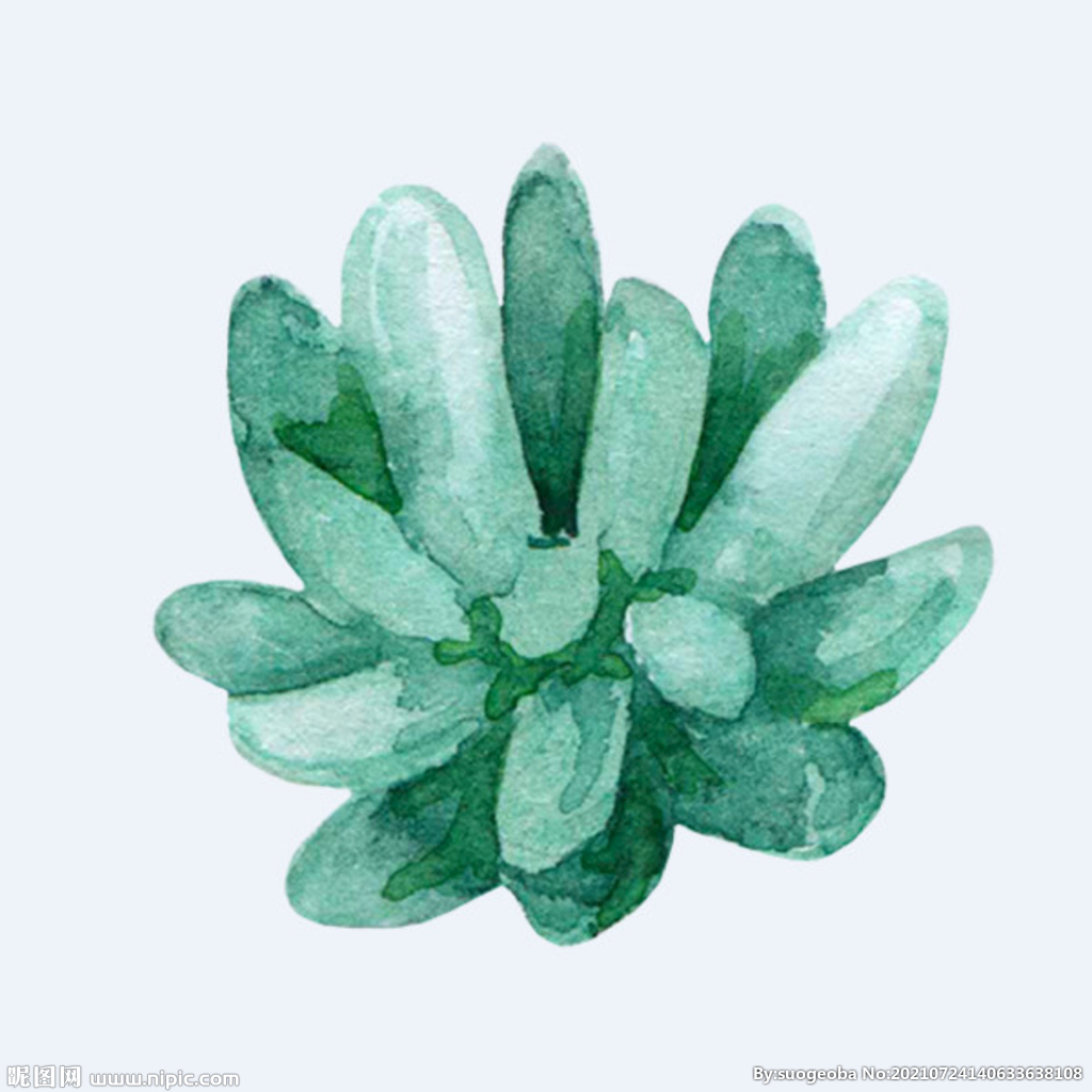 png格式植物花卉手绘素材