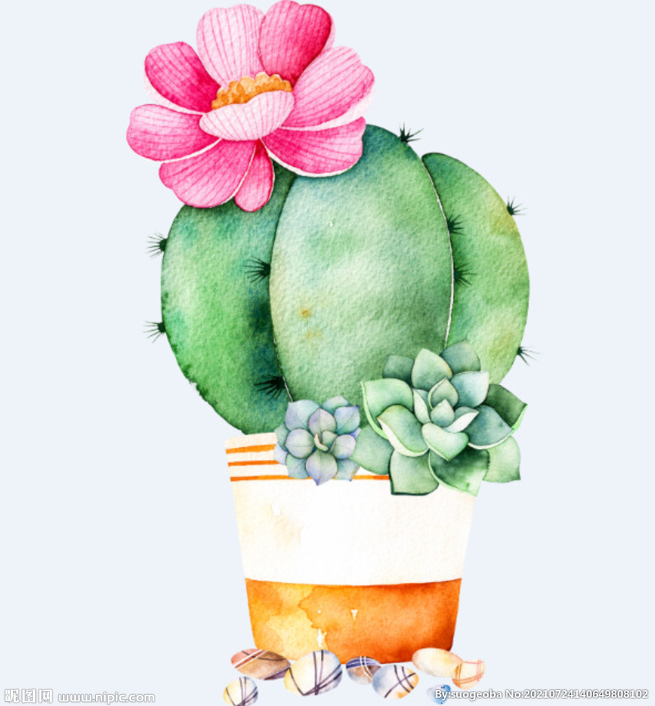 png格式植物花卉手绘素材