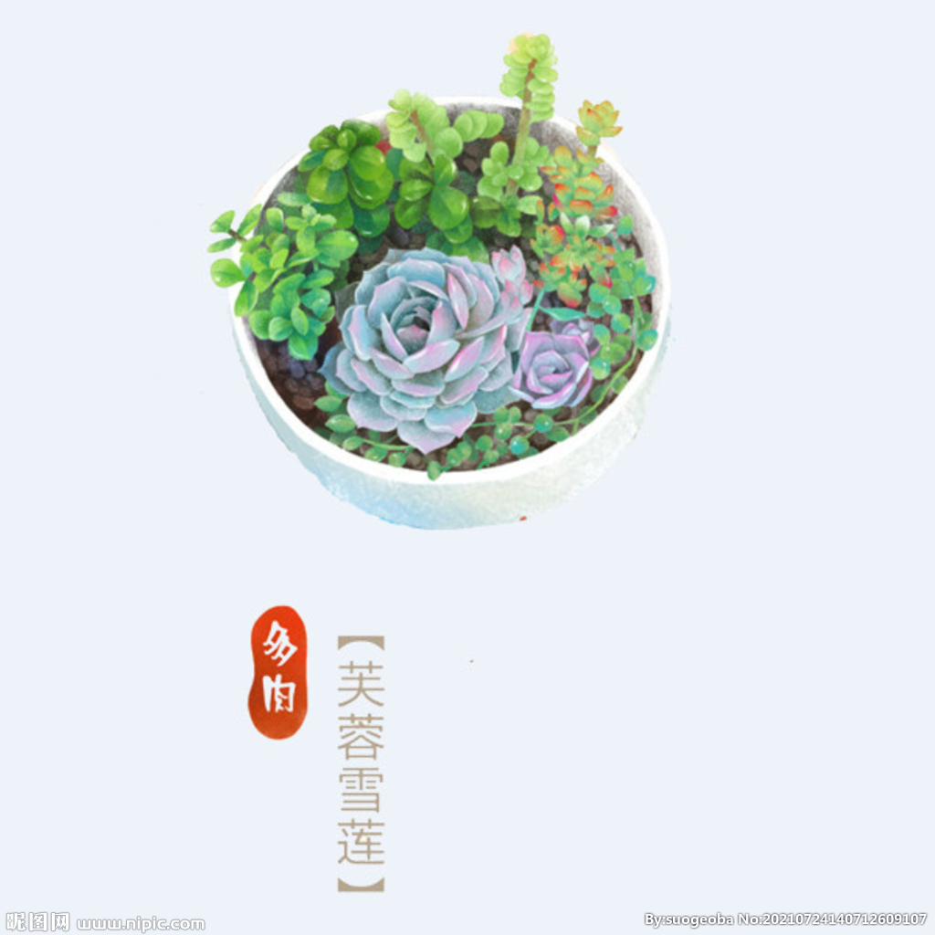 png格式植物花卉手绘素材