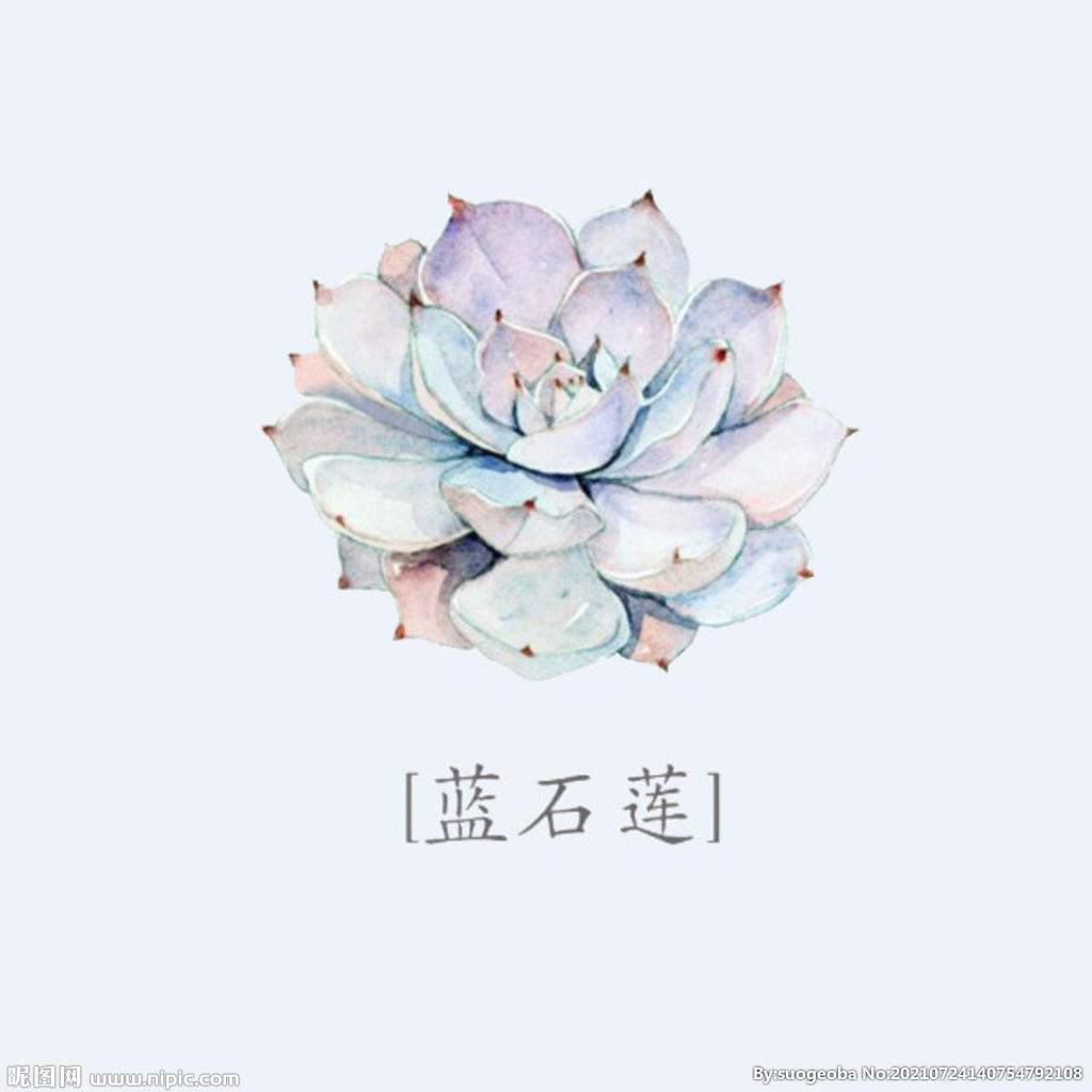 png格式植物花卉手绘素材