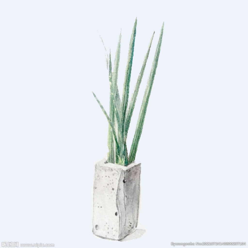 png格式植物花卉手绘素材