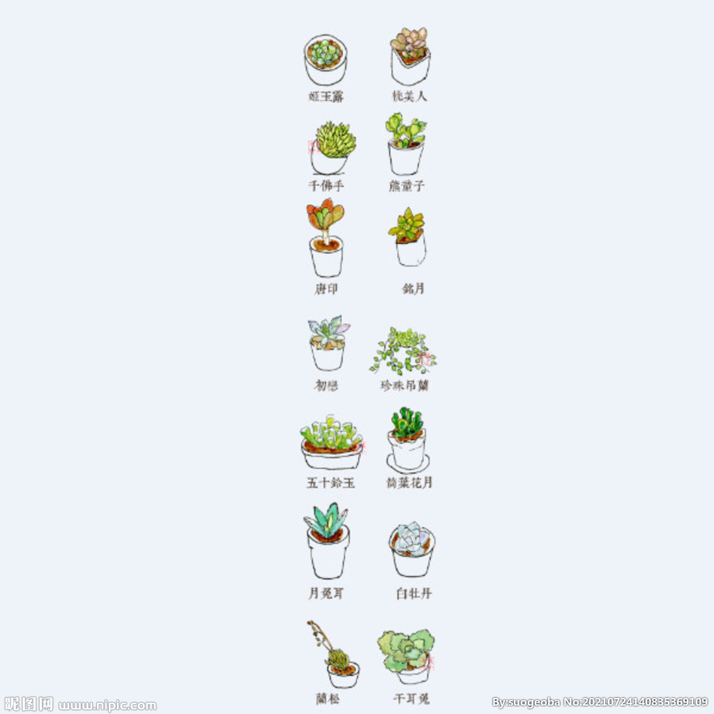 png格式植物花卉手绘素材