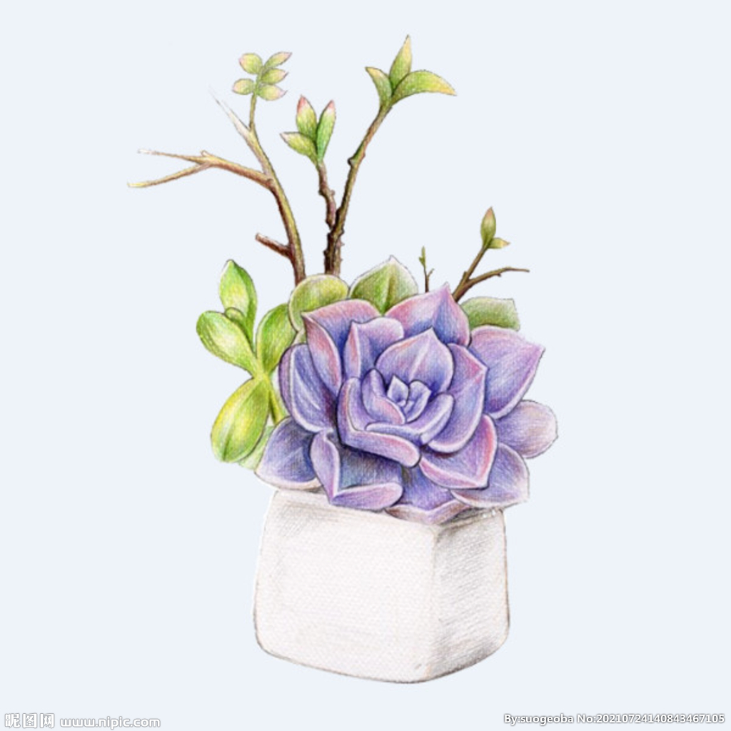 png格式植物花卉手绘素材