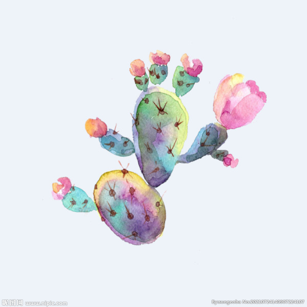 png格式植物花卉手绘素材