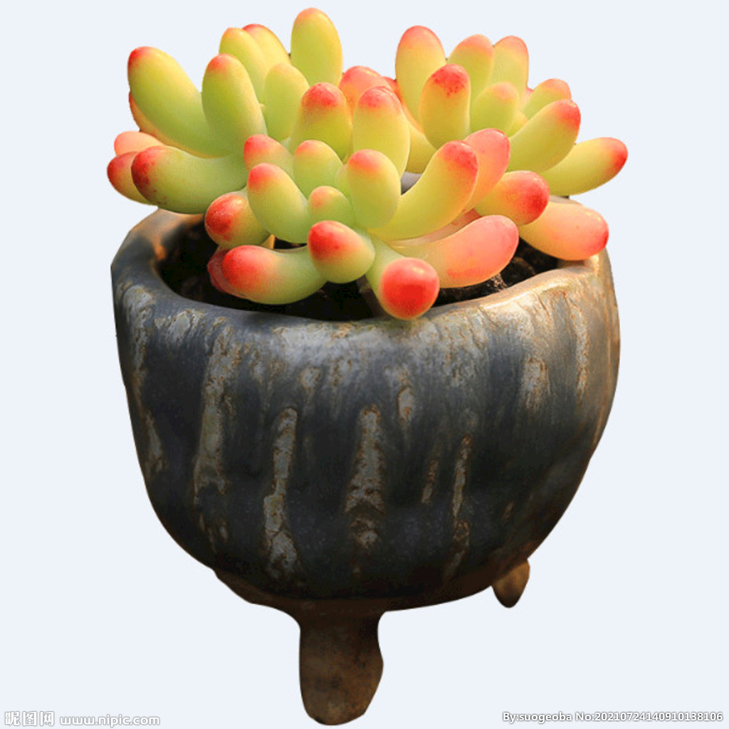 png格式植物花卉手绘素材