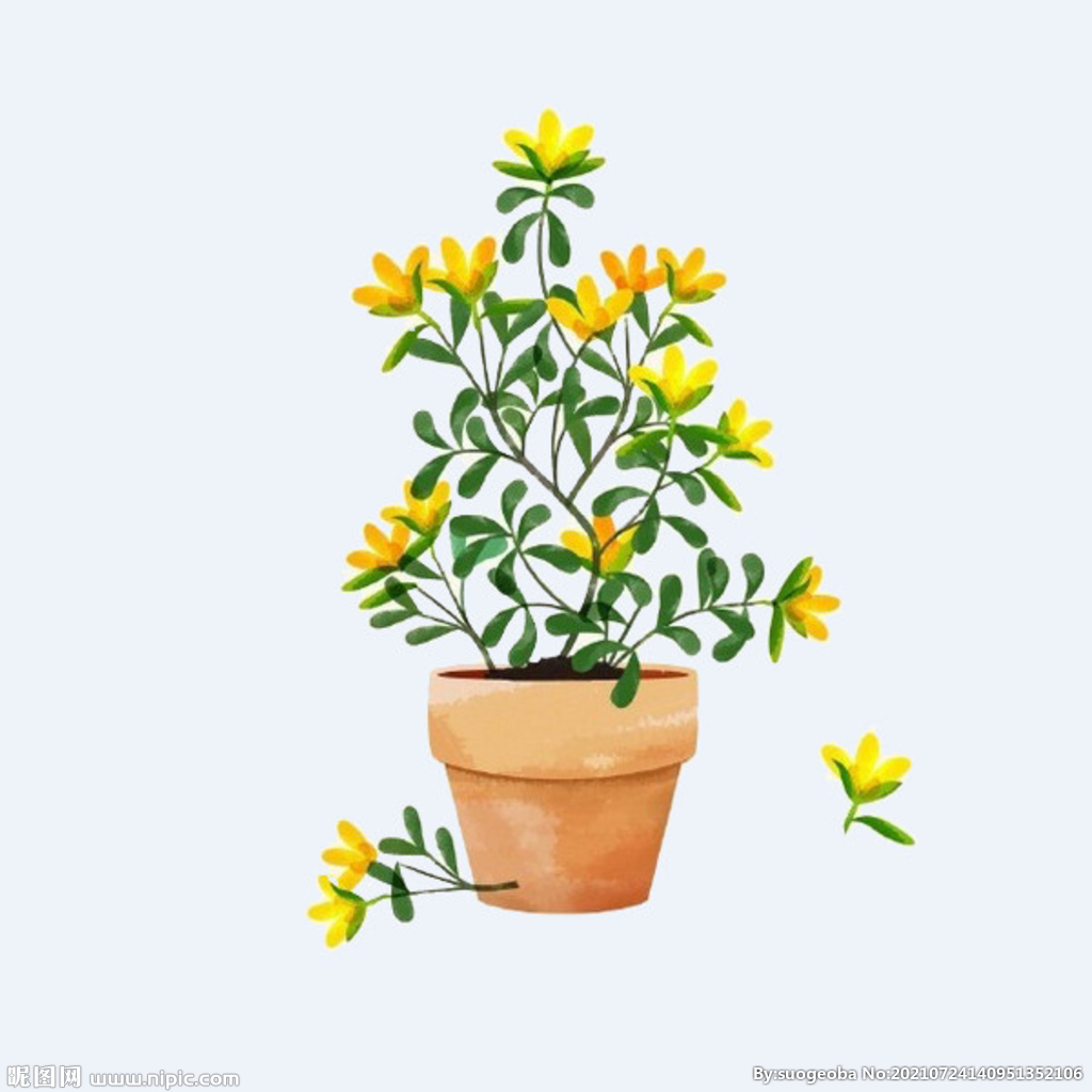 png格式植物花卉手绘素材