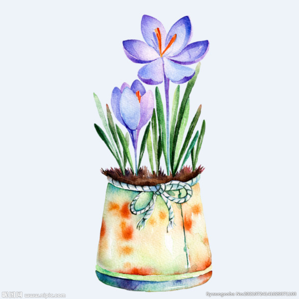 png格式植物花卉手绘素材