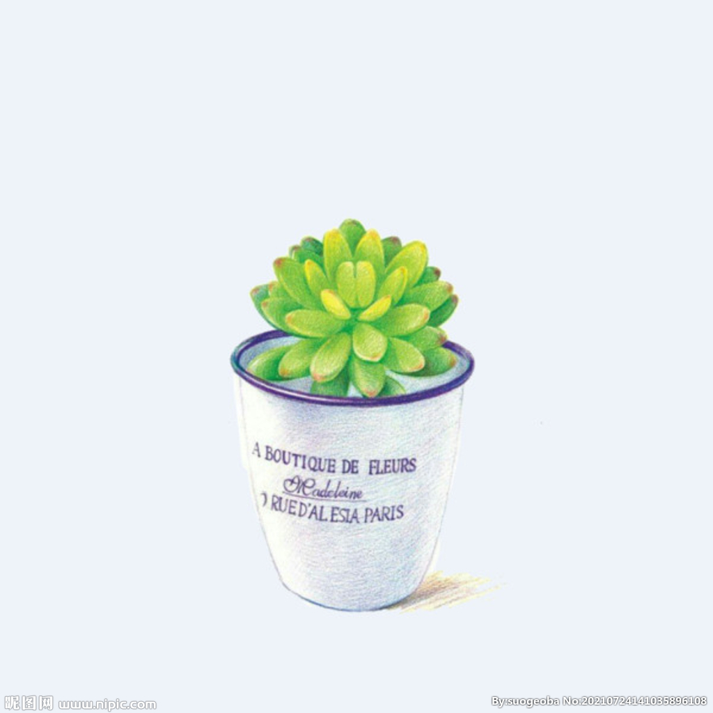 png格式植物花卉手绘素材