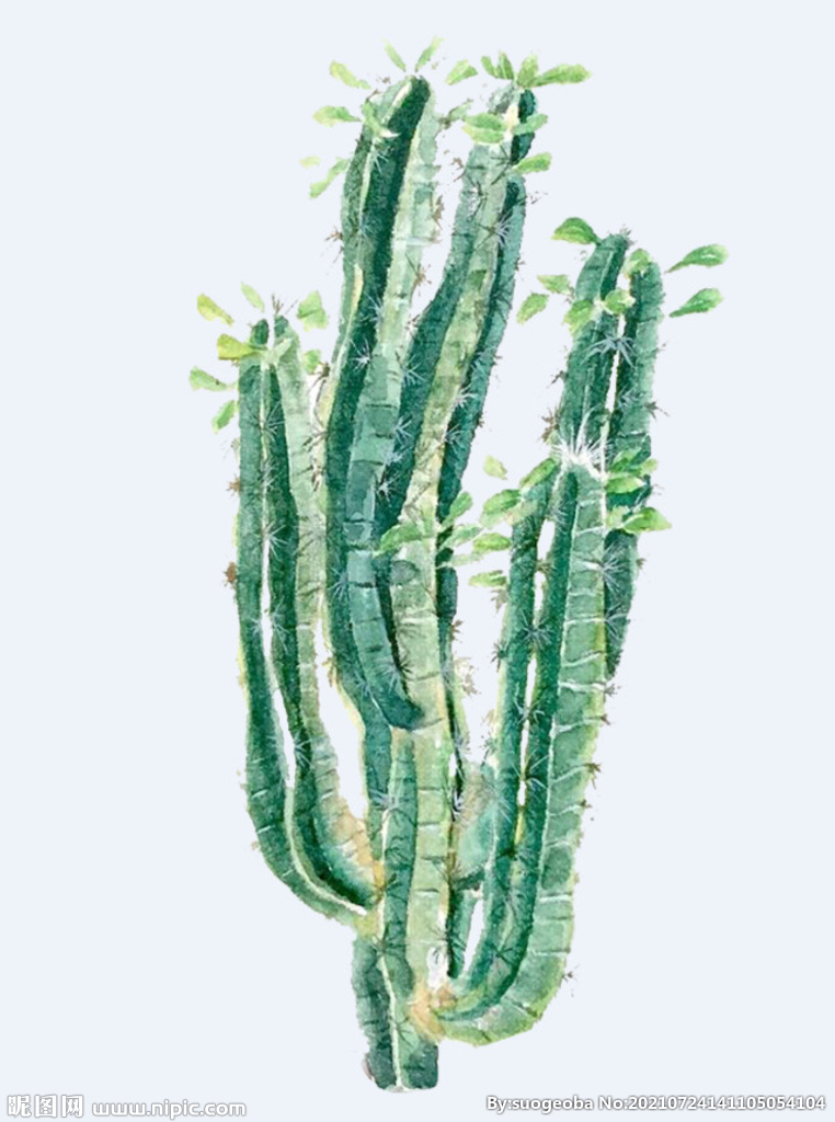 png格式植物花卉手绘素材