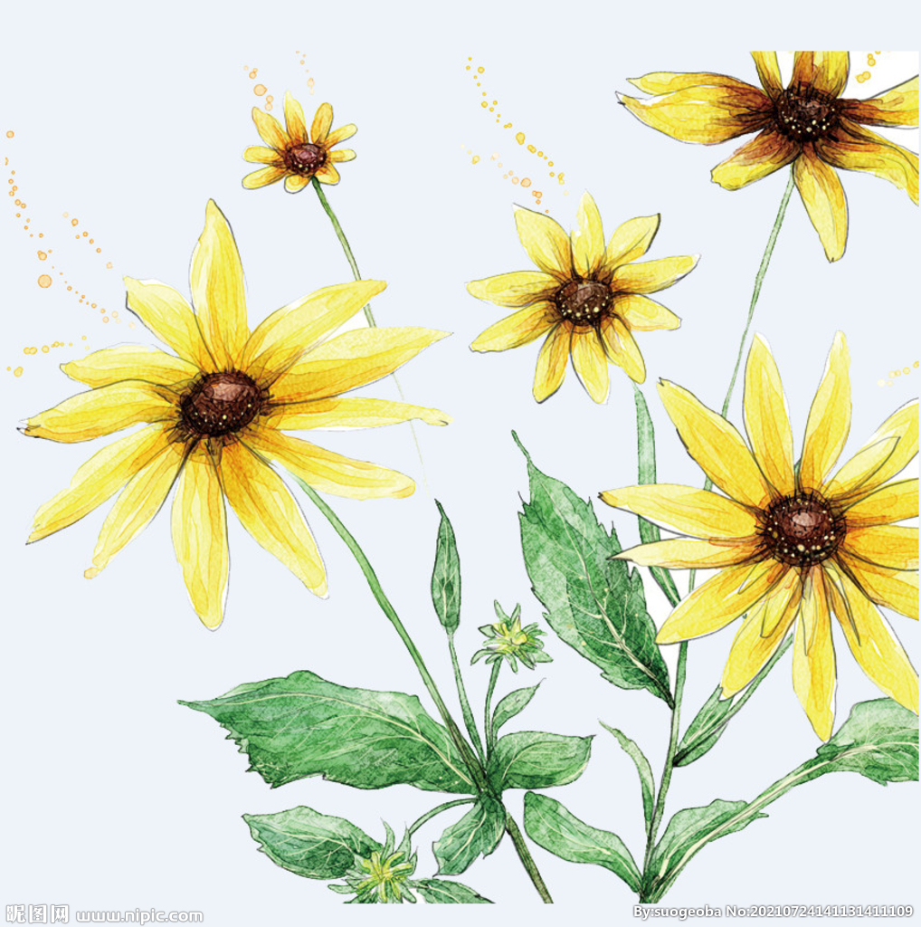 png格式植物花卉手绘素材