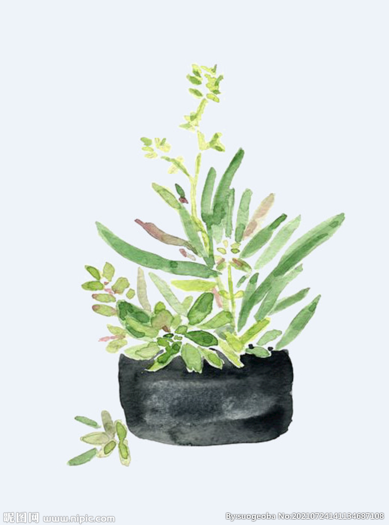 png格式植物花卉手绘素材